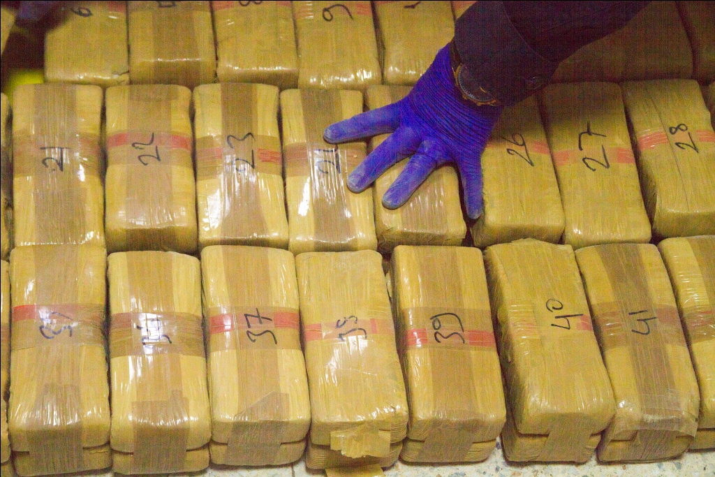 Incautan y destruyen 10,4 toneladas de cocaína en operativo en Zulia