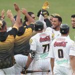 Leones del Caracas