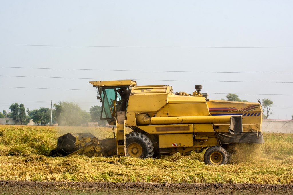 La FAO prevé una bajada del comercio de productos básicos en 2023 y 2024