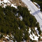 Niños austriacos demandan al gobierno y exigen medidas más firmes contra el cambio climático