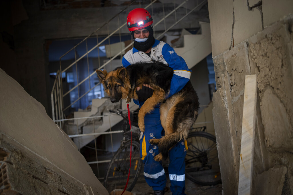 Rescatistas también buscan a mascotas entre los escombros en Turquía