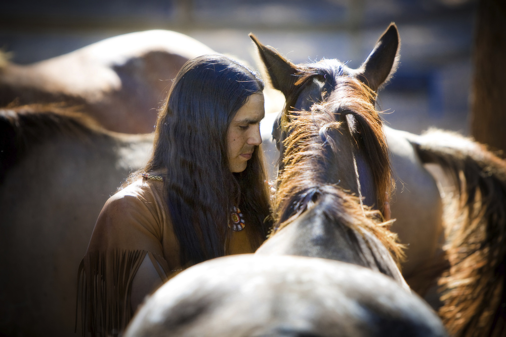 Caballos americanos