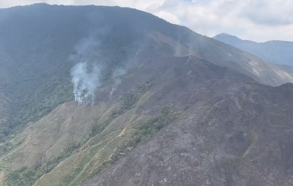 Incendio en parque nacional Henri Pittier consumió al menos 120 hectáreas