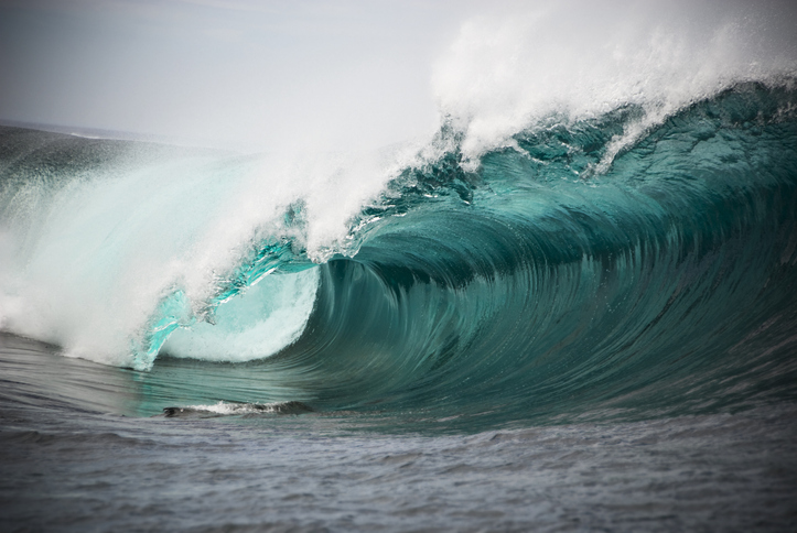 Simulacro de Tsunami Caribe Wave 2023 se realizará este 23-Mar en 11 estados del país