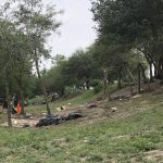 Incendio acaba con 25 tiendas en campamento de migrantes en México