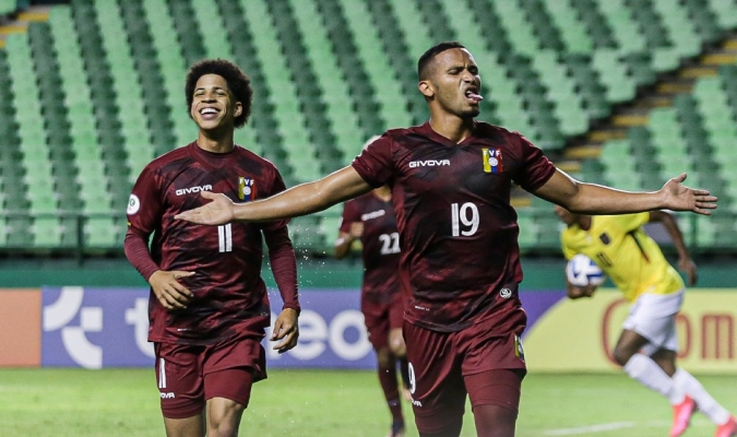 Vinotinto.jpg