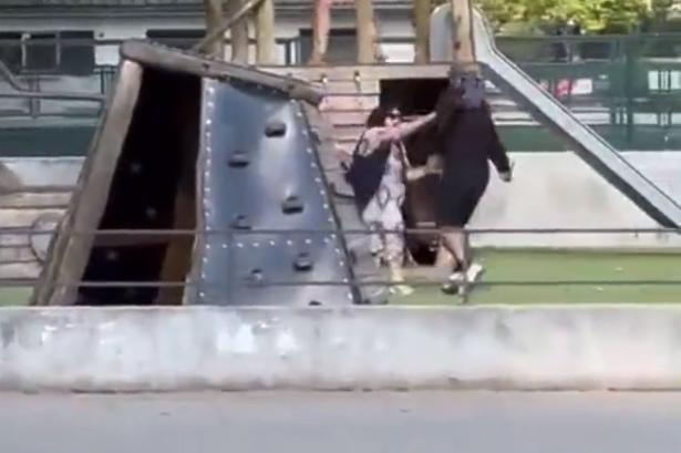 Cuatro niños en grave estado de salud tras ser acuchillados en parque de una ciudad francesa