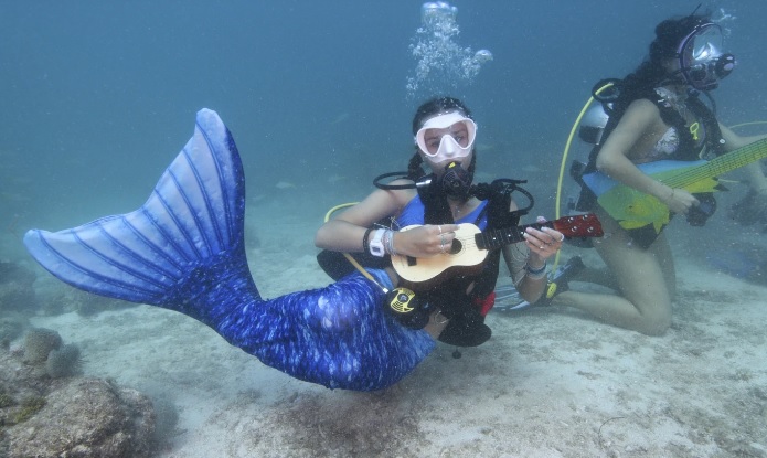 música submarina en cayos de la florida Foto: AP