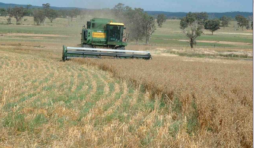 Fedeagro: pese a las dificultades, el sector mantuvo su crecimiento durante el 2023