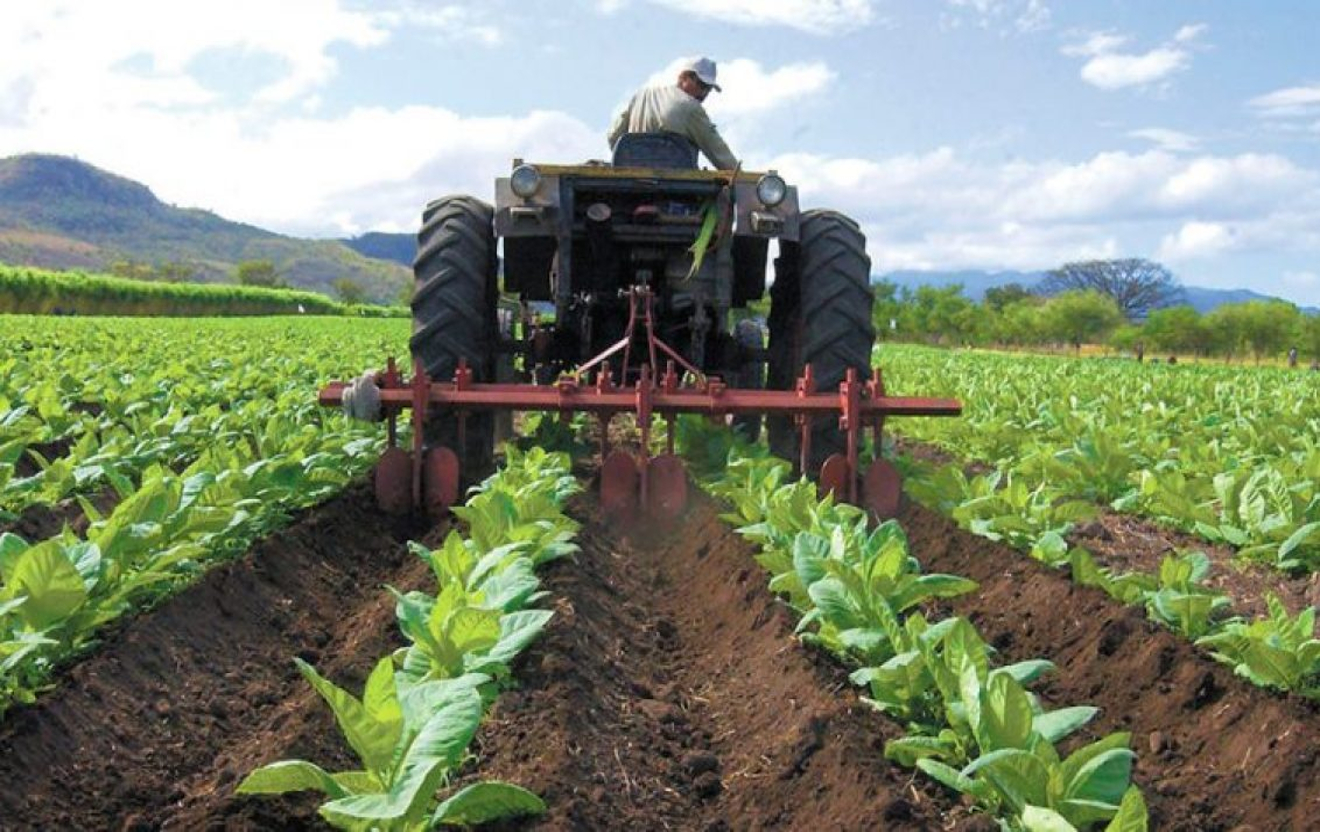 Sector agrícola piden al gobierno nacional facilitar financiamiento