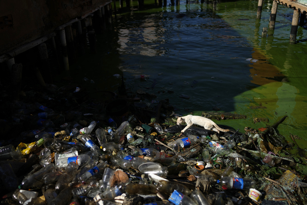 213 toneladas de desechos plásticos son retirados de las orillas del Lago de Maracaibo