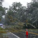 Gobernador declara estado de emergencia en Florida en anticipación a llegada de Idalia