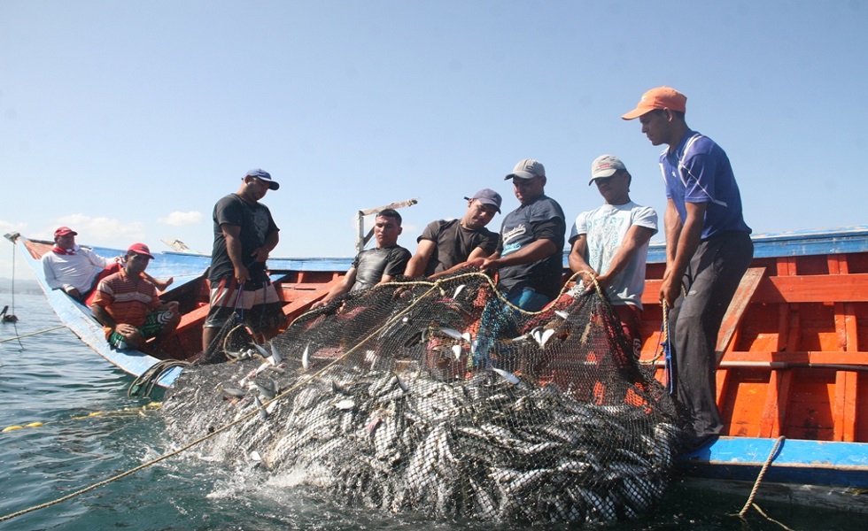 Pescado se encarece por los múltiples puntos por los que pasa el rubro en la cadena de comercialización