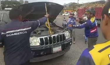 Rescatan a serpiente en el motor de un vehículo en Morán