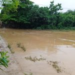 Fuertes lluvias provocaron el desbordamiento de dos ríos en Guárico