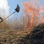 Incendio forestal consume al menos 250 hectáreas del parque nacional Henri Pittier