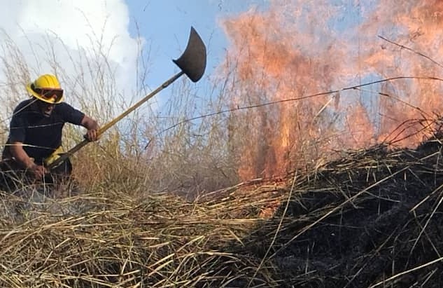 Incendio forestal consume al menos 250 hectáreas del parque nacional Henri Pittier