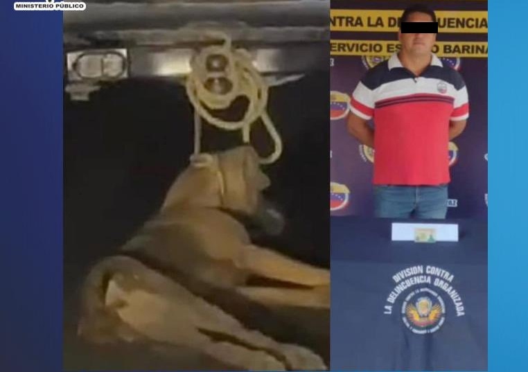 Barinas | Hombre es detenido por arrastrar a un perro con su vehículo hasta causarle la muerte