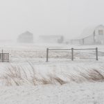 EEUU-se-prepara-para-un-fin-de-semana-de-temperaturas-record-de-heladas-foto-ap