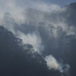 Cuatro heridos a causa de incendios forestales en zonas protegidas de Bogotá y este de Colombia