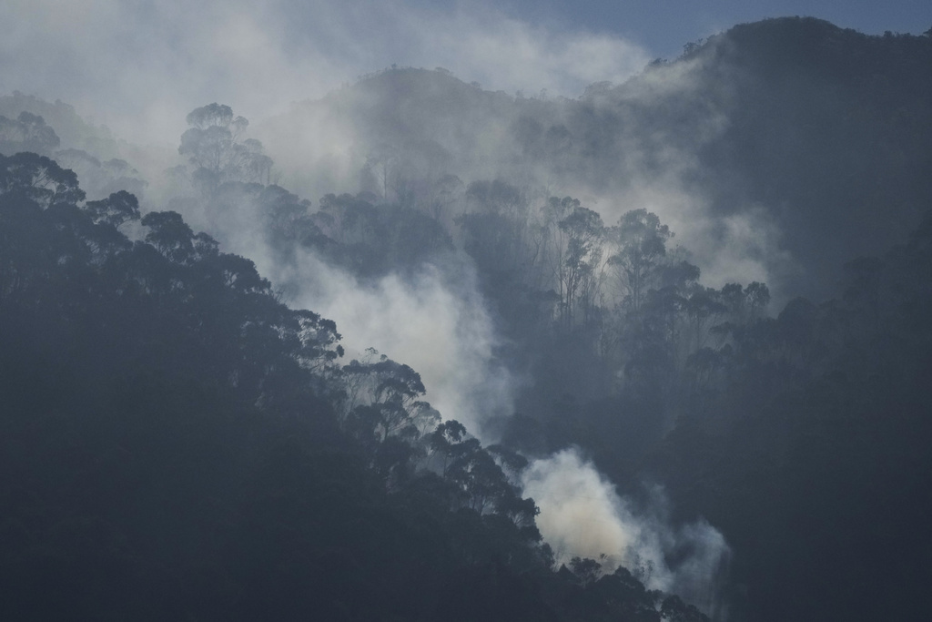 Cuatro heridos a causa de incendios forestales en zonas protegidas de Bogotá y este de Colombia