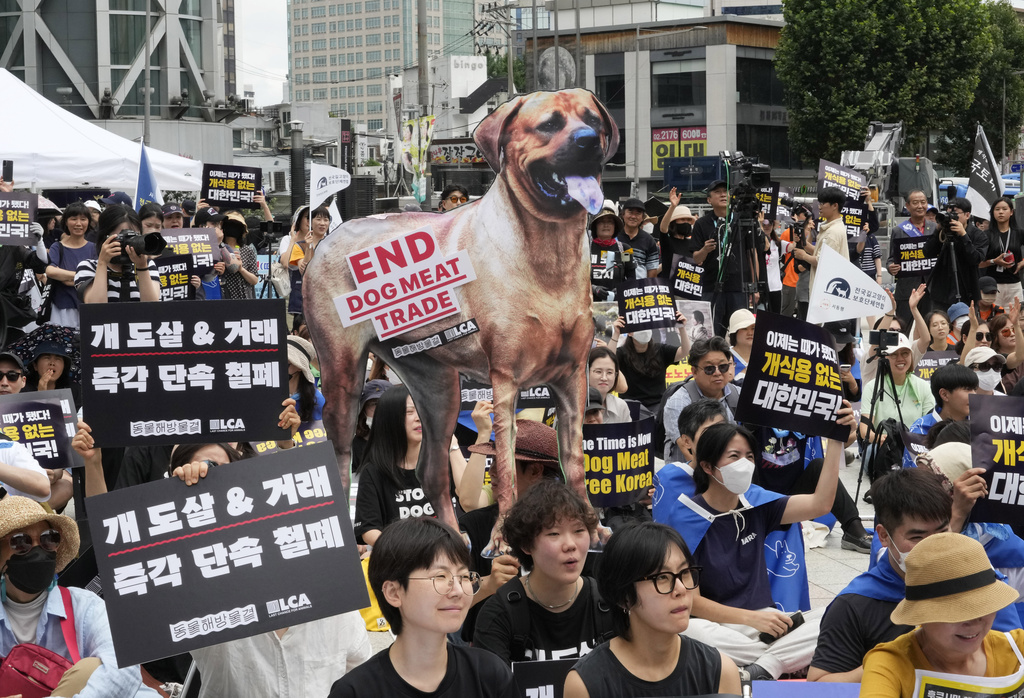 Parlamento surcoreano aprueba ley histórica para vetar la producción y venta de carne de perro