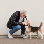 Perros pueden olfatear el Parkinson con un 90% de precisión, según estudio