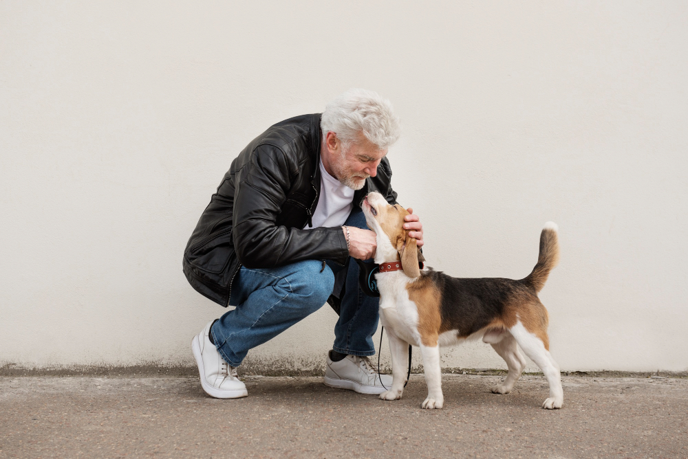 Perros pueden olfatear el Parkinson con un 90% de precisión, según estudio