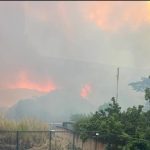 Al menos 61 mil hectáreas se han visto afectadas por los incendios en el país