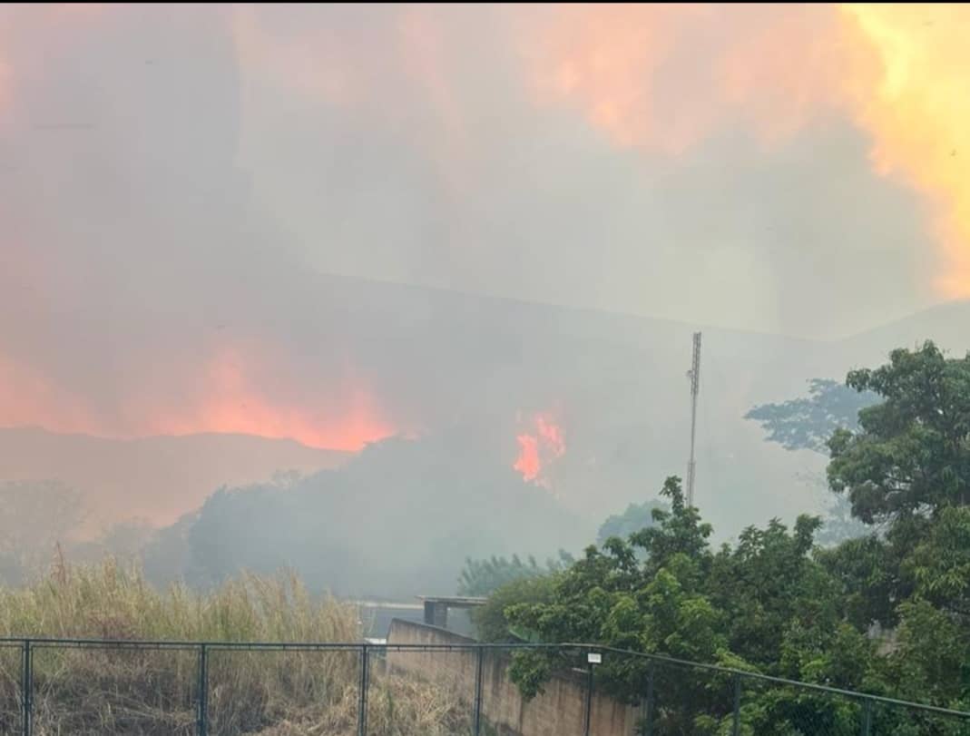 Al menos 61 mil hectáreas se han visto afectadas por los incendios en el país