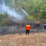 Incendios forestales en el país están controlados, asegura Remigio Ceballos