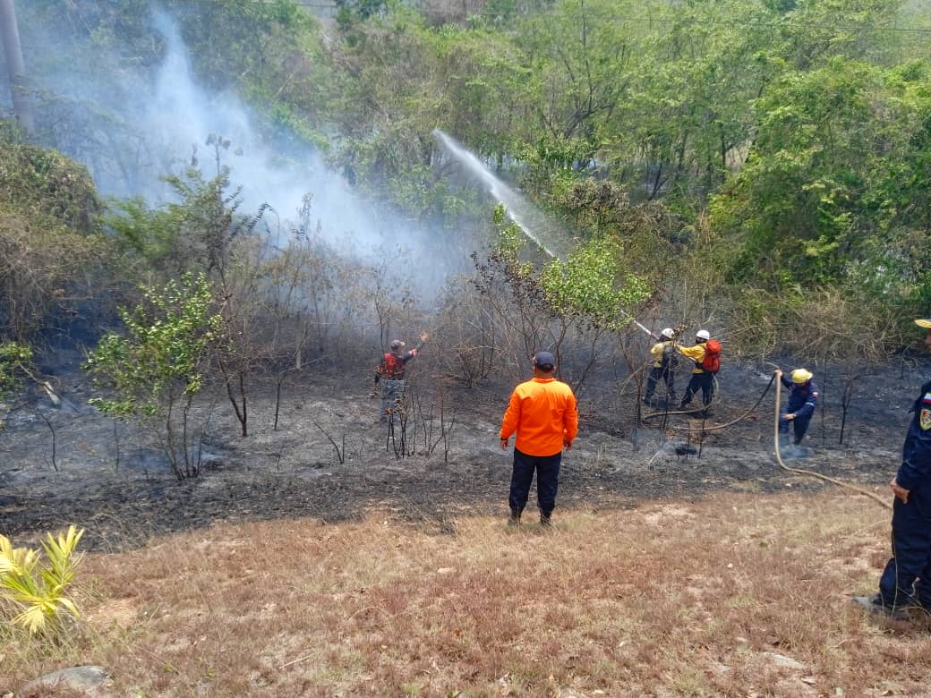 Incendios forestales en el país están controlados, asegura Remigio Ceballos