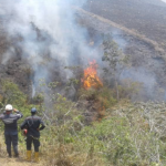 Las fuertes olas de calor y el descuido de la ciudadanía han originado los recientes incendios forestales