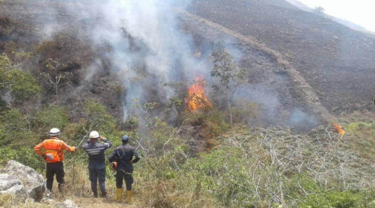 Las fuertes olas de calor y el descuido de la ciudadanía han originado los recientes incendios forestales