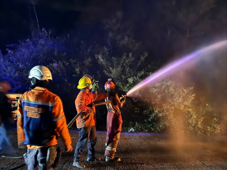 En las últimas horas se han registrado 15 incendios forestales en Caracas, dice Carmen Meléndez