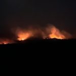 Lara | Reportan incendio forestal en el sector Las Guabinas del municipio Urdaneta