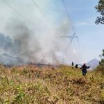 Autoridades detienen a 16 personas por presuntamente provocar incendios forestales en Caracas y Miranda