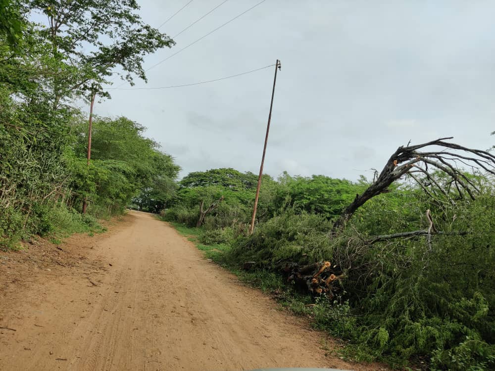 Curarigua tiene cuatro días sin electricidad y para colmo la carretera está en pésimo estado