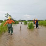 Al menos 2.400 familias se vieron afectadas por inundaciones en Sucre