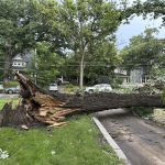 EE. UU. | Tormentas con probables tornados azotan el área de Chicago, provocan un muerto y cortes de energía