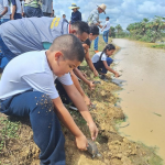 Liberan a 336 tortugas y a cuatro zorros perros como parte de un plan de conservación en Guárico