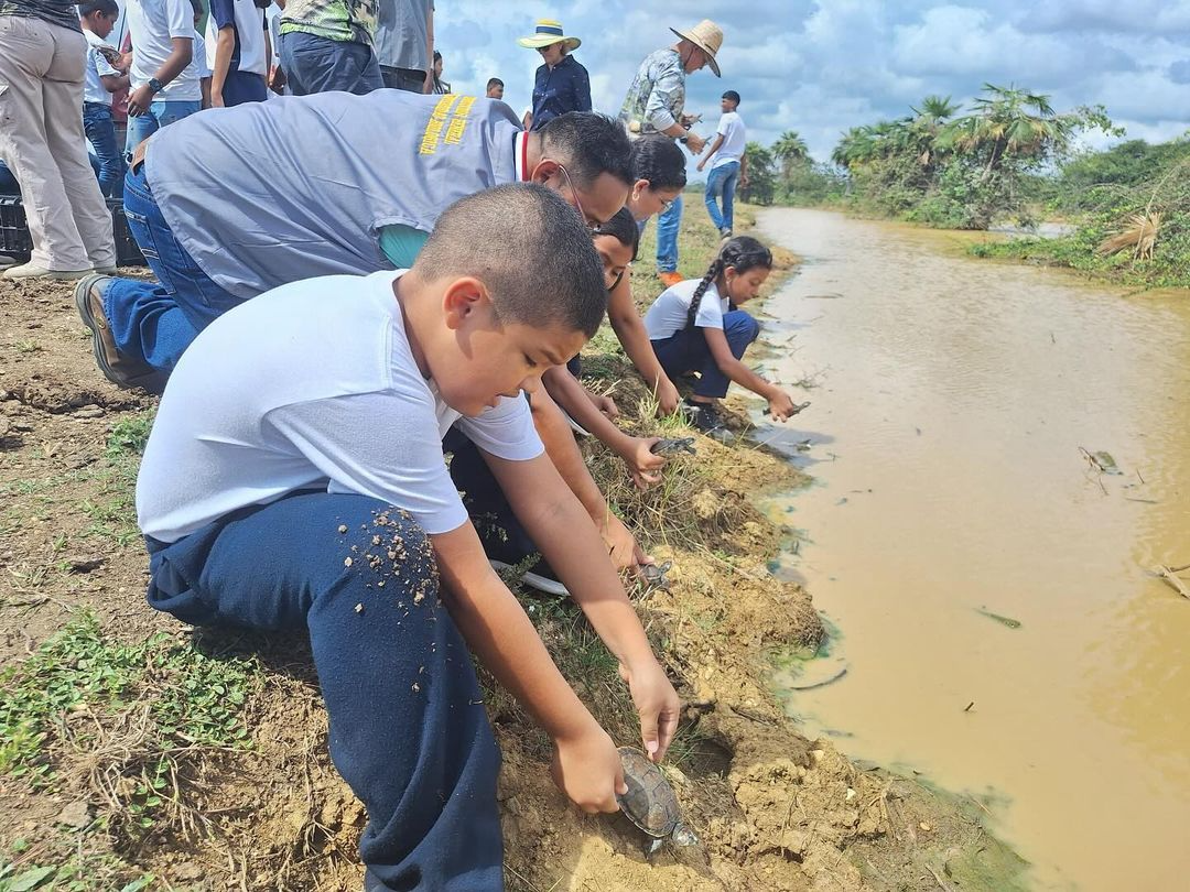 Liberan a 336 tortugas y a cuatro zorros perros como parte de un plan de conservación en Guárico