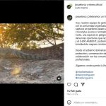 La Guaira | Rescatan ejemplar del “caimán de la costa”, especie en peligro de extinción