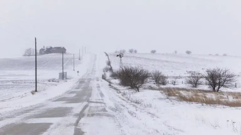 EE. UU. | Decretan estado de emergencia en Washington D.C. por tormenta invernal