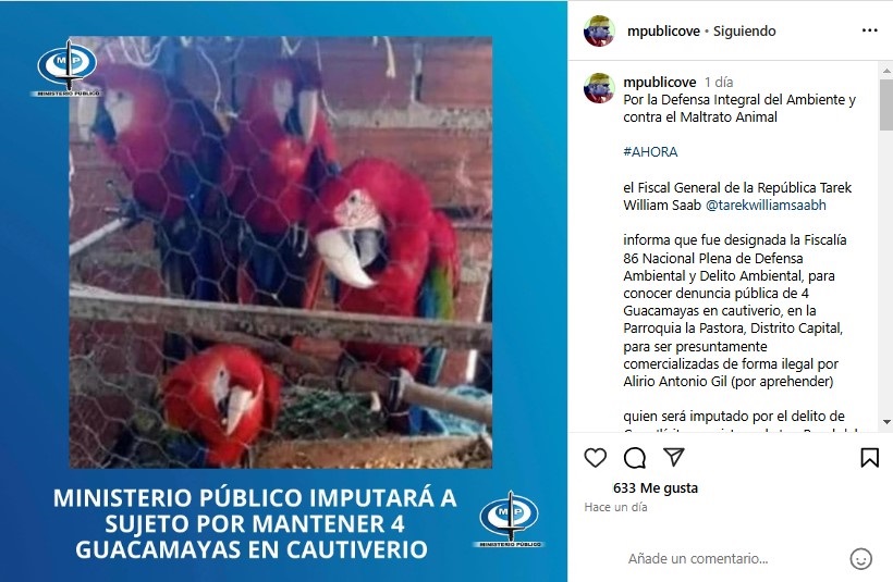 Caracas | Rescatan a cuatro guacamayas que serían comercializadas de manera ilegal