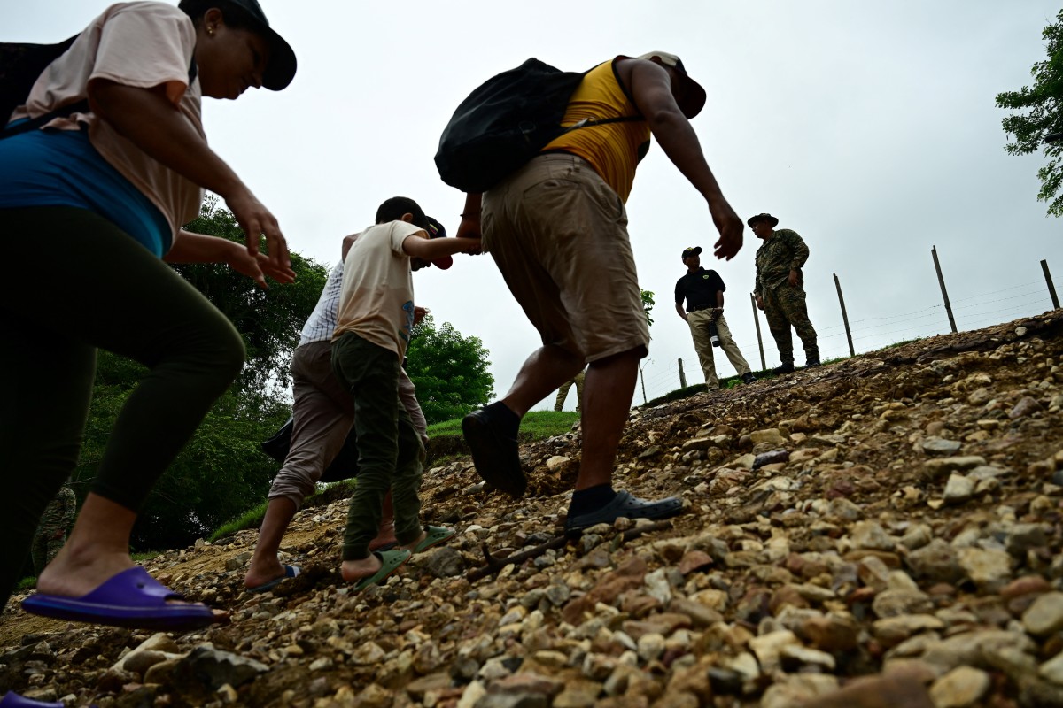 Selva Darien Foto AFP