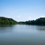 Sigue la búsqueda de niño desaparecido en el río Orinoco tras naufragio