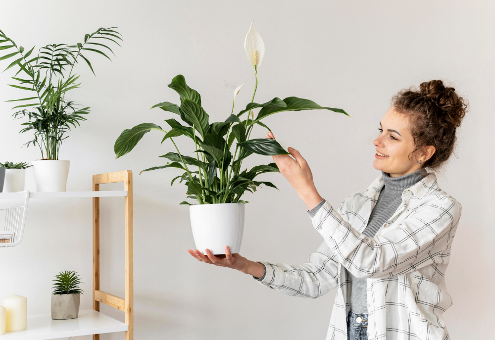 ¿Por qué tener plantas en casa es más beneficioso de lo que crees?